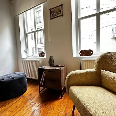 Historical Flat In Galata - Tatar Beyi Street 公寓