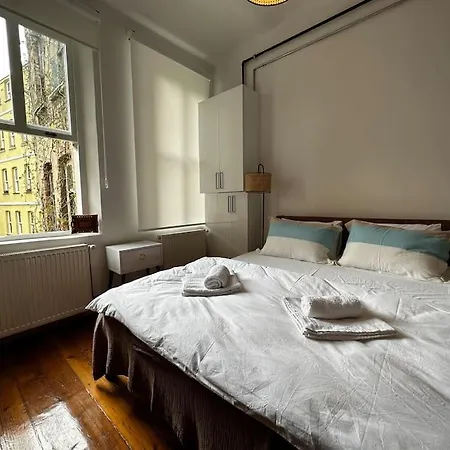 Historical Flat In Galata - Tatar Beyi Street 公寓