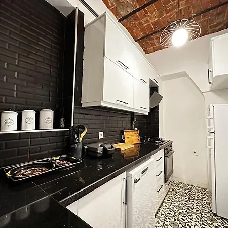 公寓 Historical Flat In Galata - Tatar Beyi Street