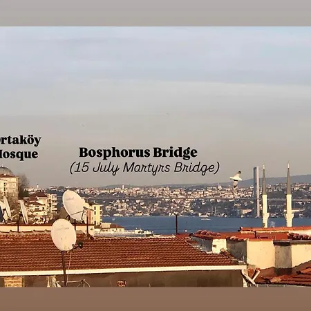 Historical Flat In Galata - Tatar Beyi Street 公寓 *